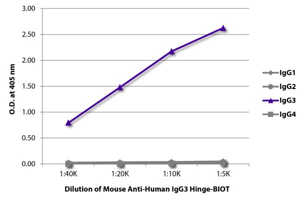Abbildung: Maus IgG anti-Human IgG3 (hinge)-Biotin, MinX keine