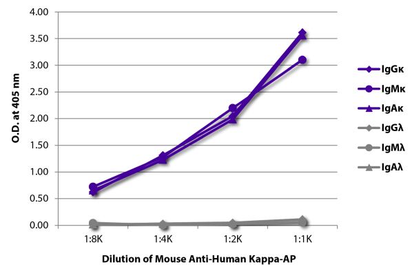 Image: Mouse IgG anti-Human Kappa light chain-Alk. Phos., MinX none