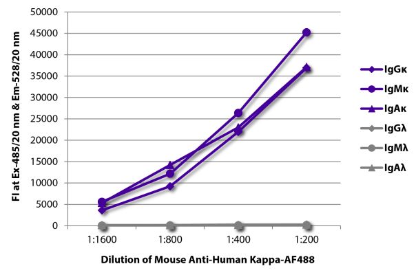 Abbildung: Maus IgG anti-Human Kappa (leichte Kette)-Alexa Fluor 488, MinX keine