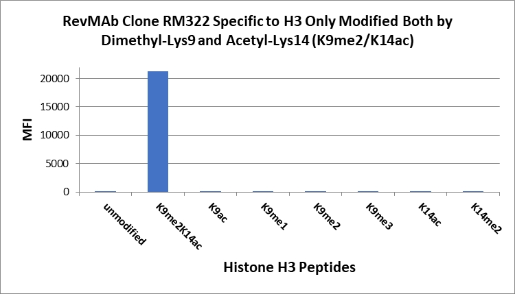 Antibody Anti-Dimethyl-Histone H3 (Lys9) and Acetyl-Histone H3 (Lys14) from Rabbit - unconj.